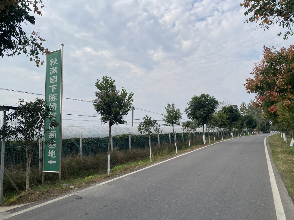 温泉运动动漫_温泉运动_温泉运动中心
