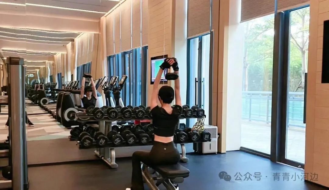 健身秦岚小说_秦岚明星健身房_秦岚健身