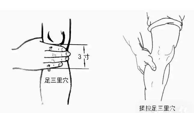 广东省针灸学会官网_广东省针灸学会亚健康_广东省针灸学会会员查询