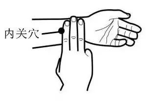 广东省针灸学会官网_广东省针灸学会亚健康_广东省针灸学会会员查询