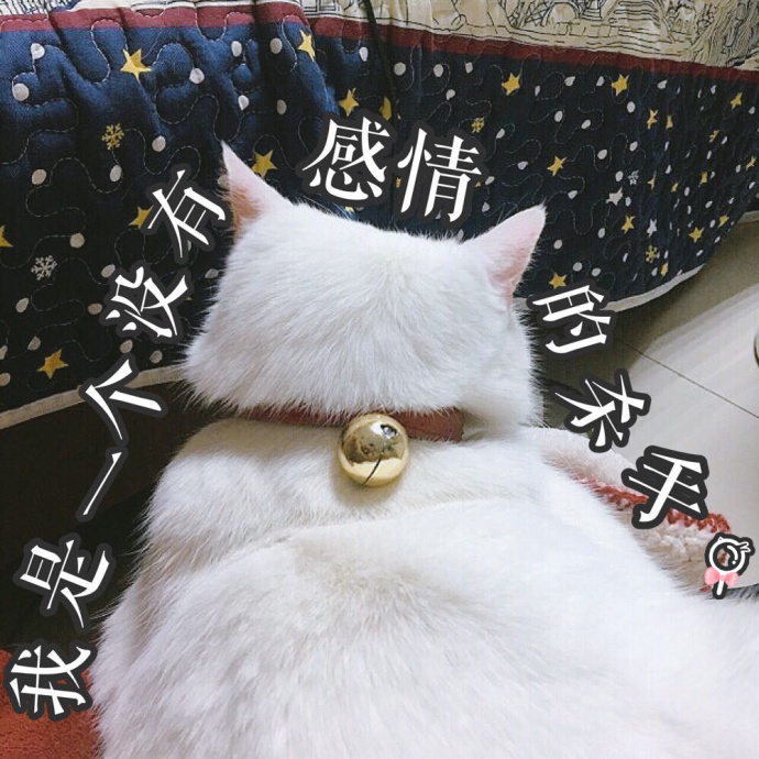 游泳健身了解下面哪一项_健身游泳了解一下_游泳健身了解下后面怎么接
