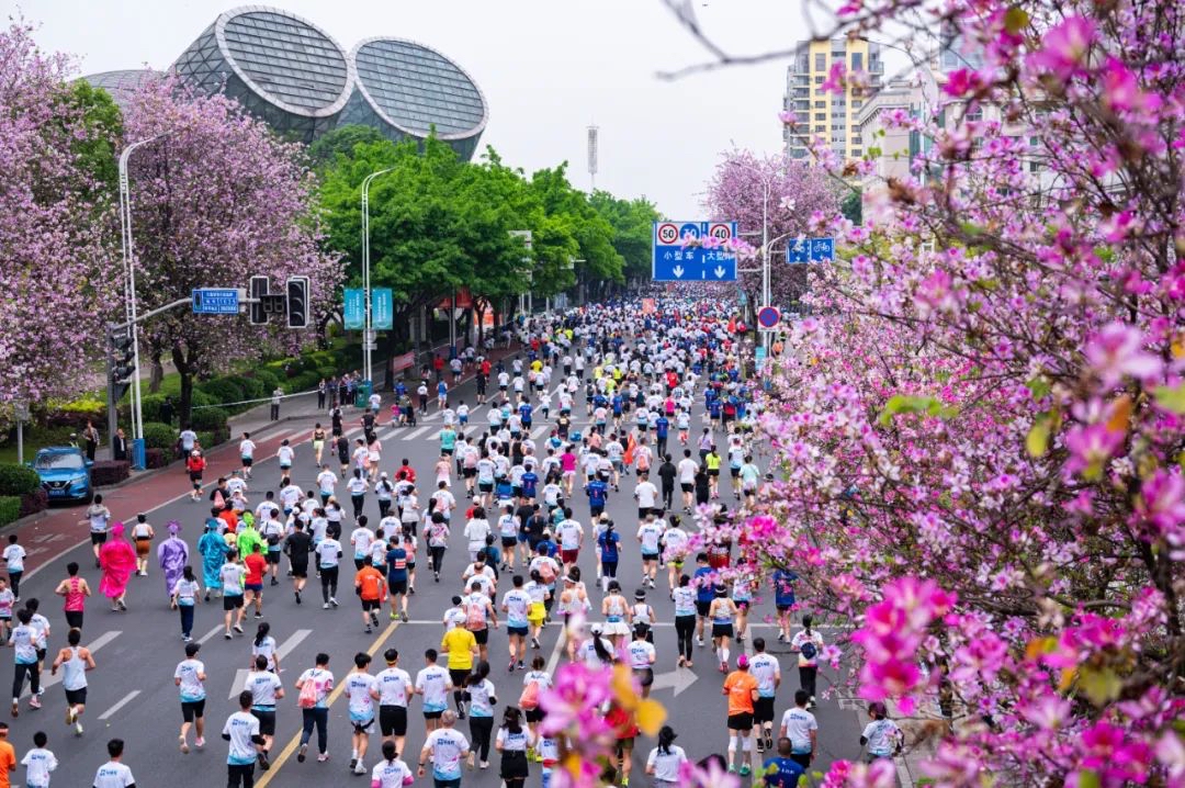 柳州马拉松_马拉松柳州路线_马拉松柳州2024