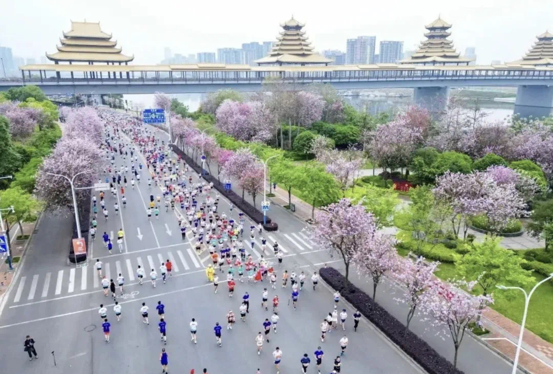柳州马拉松_马拉松柳州2024_马拉松柳州路线